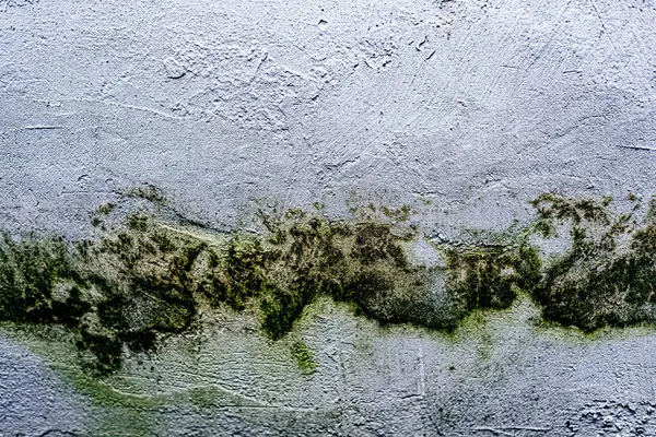 Duvar dokusu deseninin fotoğrafı