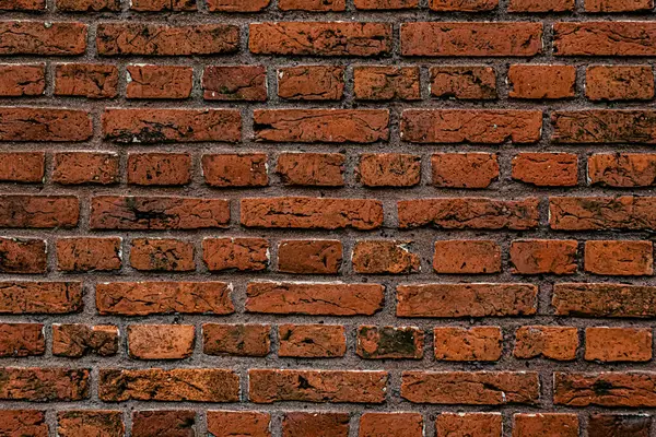 Duvar dokusu deseninin fotoğrafı