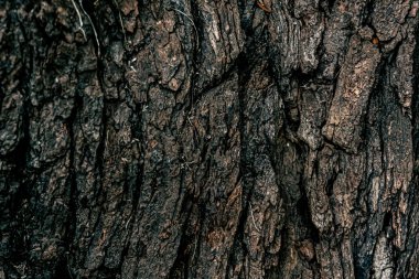 Ahşap desenli fotoğraf