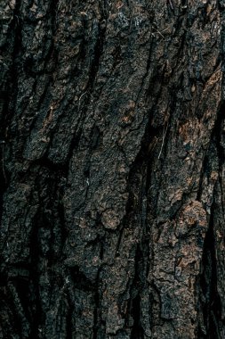 Ahşap desenli fotoğraf