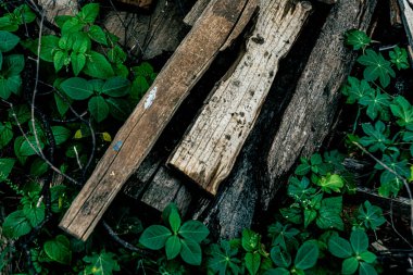 Ahşap desenli fotoğraf