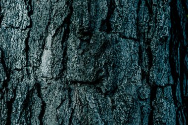 Ahşap desenli fotoğraf