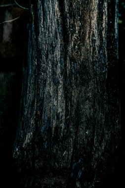 Ahşap desenli fotoğraf