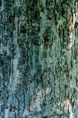 Ahşap desenli fotoğraf