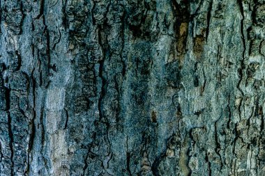 Ahşap desenli fotoğraf