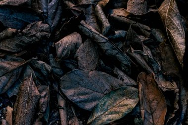 Ahşap desenli fotoğraf