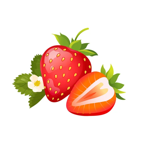 Fresh Ripe Strawberries Flower Green Leaves — Vetor de Stock