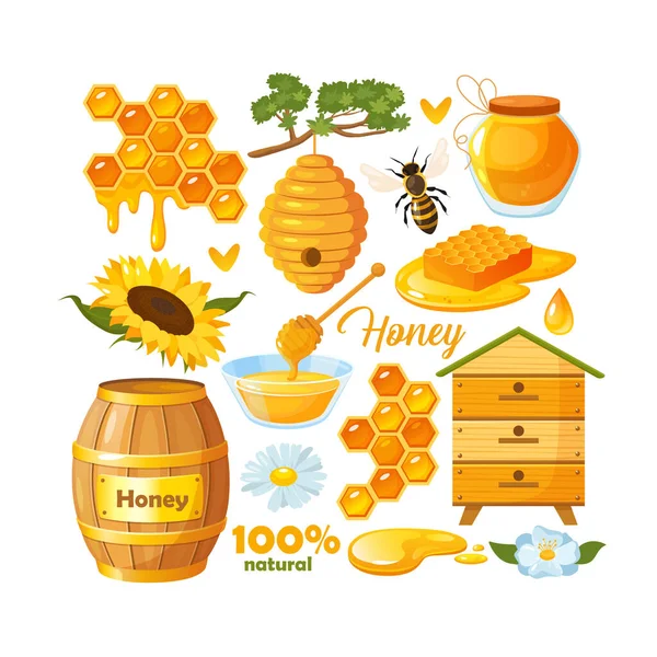 Uppsättning Honungsprodukter Vektorillustration — Stock vektor