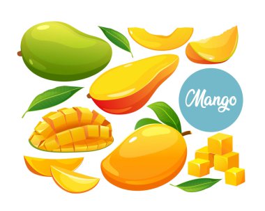 Taze taze, yarısı ve beyaz arka planda izole edilmiş mango meyveleri..