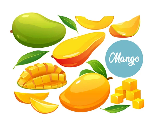 Set Frutti Freschi Interi Metà Taglio Fetta Mango Isolato Sfondo — Vettoriale Stock
