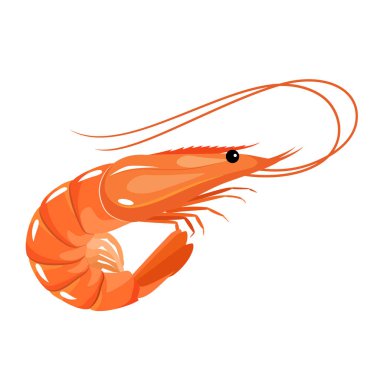 Cartoon shrimp illustration. Vector illustration clipart