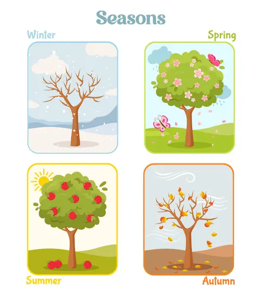 Çocuklar için mevsim temasını öğrenmek için yılın dört sezonuna sahip eğitim kartları.