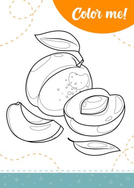 Kayısı meyveli çocuklar için boyama sayfası. Yazdırılabilir çalışma tablosu, vektör illüstrasyonu.