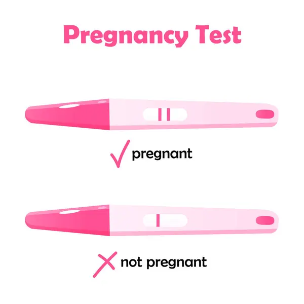 stock vector Pregnancy home tests illustration with one and two stripes positive and negative results.