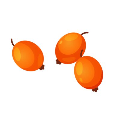 Renkli sonbahar yabani böğürtlen hasadı beyaz arka planda izole.