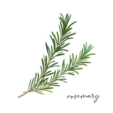 Beyaz arkaplanda izole edilmiş organik biberiye taşıyıcısı.