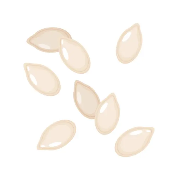 stock vector Top view of pumpkin seeds isolated on white background.