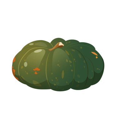 Beyaz arka planda izole edilmiş organik doğal yeşil balkabağı..