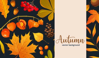 Yapraklar, böğürtlenler, kozalaklar, meşe palamutları, kestane ağaçları, bitki örtüsü ile vektör sonbahar arkaplanı.