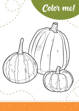 Sonbahar balkabağı olan çocuklar için farklı tiplerde boyama sayfası. Yazdırılabilir çalışma tablosu, vektör illüstrasyonu.