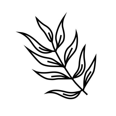 Çizgi film sonbahar cevizi ağacı beyaz arkaplanda izole edilmiş çizgi simgesi.