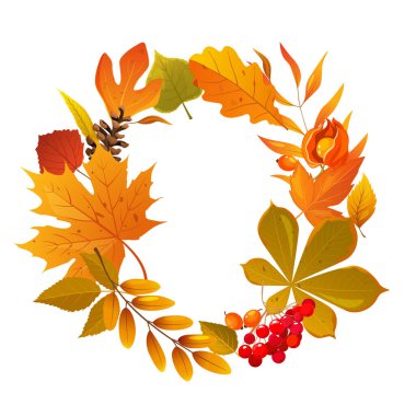 Sonbahar çelengi. Düşen yapraklar, dallar, kozalaklar, beyaz arka planda izole edilmiş böğürtlenler..