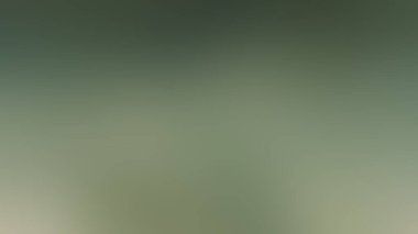 4K bulanık arkaplan tasarımı.