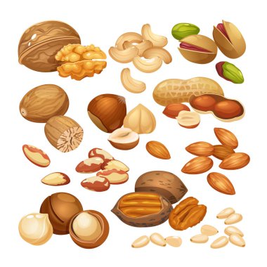 Ceviz, ceviz, macadamia, Brezilya cevizi, ceviz, ceviz, ceviz, fındık, fıstık, hindistan cevizi, çam fıstığı, beyaz arka planda izole edilmiş badem gibi farklı fındık kümeleri.