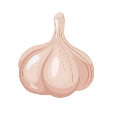 Beyaz arkaplanda izole edilmiş karikatür sarımsak vektör çizimi.