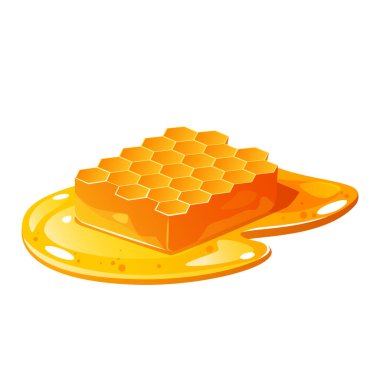 Vector honeycomb in pure honey isolated on white background. clipart