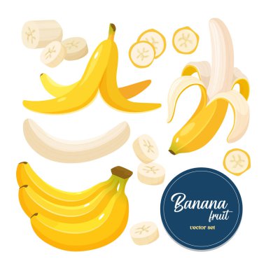 Farklı türde muz meyveleri içeren vektör karikatür koleksiyonu. Tek tip, tek parça, beyaz arka planda izole edilmiş..