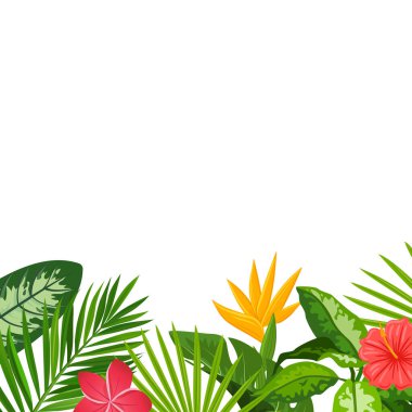 Beyaz zemin üzerinde tropik yapraklar ve çiçek açan vektör karikatür arka planı.