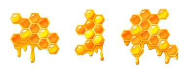 Vector cartoon picture of honeycomb structure different types isolated on white background. clipart