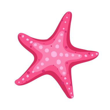 Seastar vektör çizimi beyaz arkaplanda izole edildi.