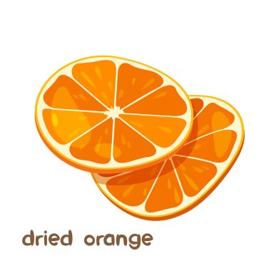 Beyaz arkaplanda harflerle izole edilmiş kurutulmuş portakal meyvesinin vektör çizimi.