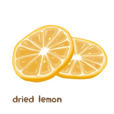 Beyaz arkaplanda harflerle izole edilmiş kurutulmuş limon meyvesinin vektör çizimi.