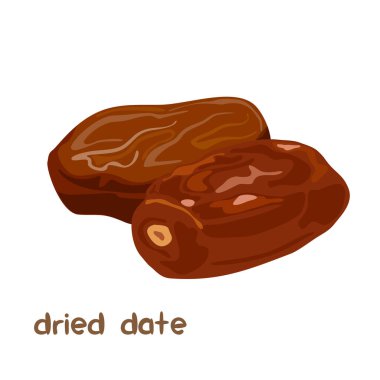 Beyaz arkaplanda harflerle izole edilmiş kurutulmuş hurma meyvesinin vektör çizimi.