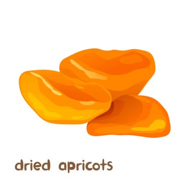 Beyaz arkaplanda harflerle izole edilmiş kurumuş kayısı meyvesinin vektör çizimi.