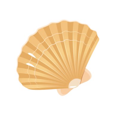 Kapalı kabuk, lüks prim okyanus yemekleri beyaz arka planda izole edilmiş.. 