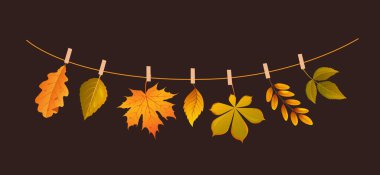 Renkli Sonbahar Dekoratif Çelengi Mevsimsel Dekorasyon Yaprakları ve Şükran Günü Kutlamaları koyu kahverengi arka planda izole edilmiş.