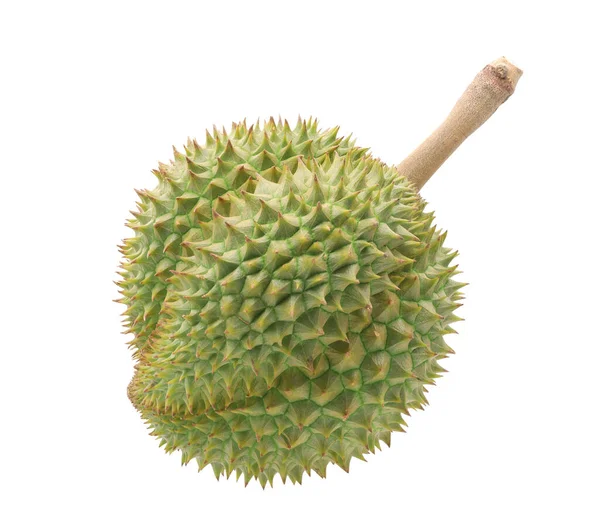 Grüne Frische Durian Isoliert Auf Weißem Hintergrund — Stockfoto