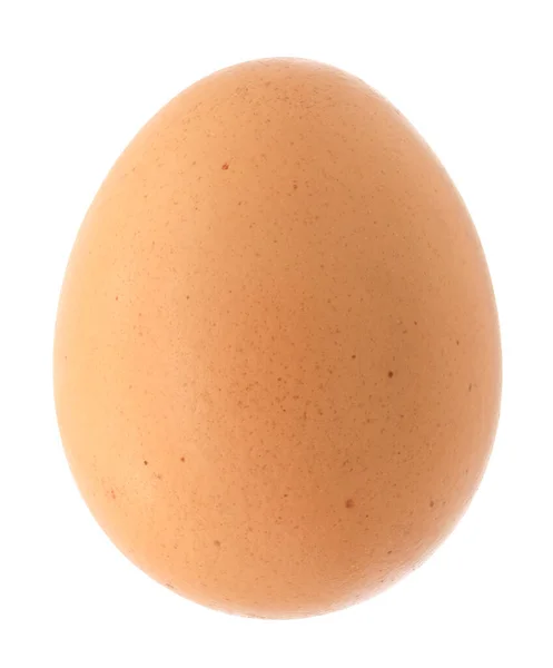 Куриное Яйцо Белом Фоне — стоковое фото