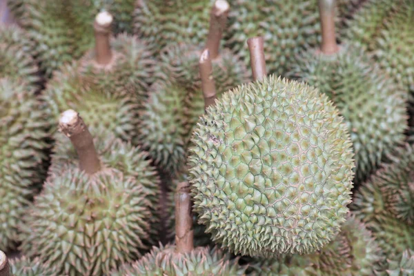 Pile Fresh Durian Fruit Market Stall Thailand — Stock Photo, Image