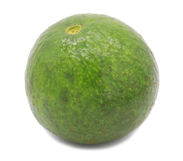 Avogado Frucht Isoliert Auf Weißem Hintergrund — Stockfoto