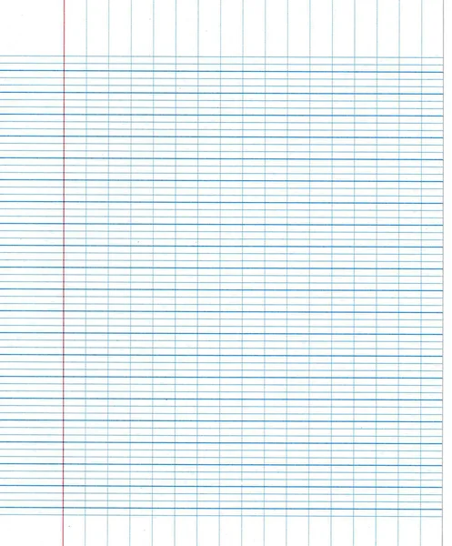 Grid Paper Red Vertical Red Line Left — Stock Photo, Image
