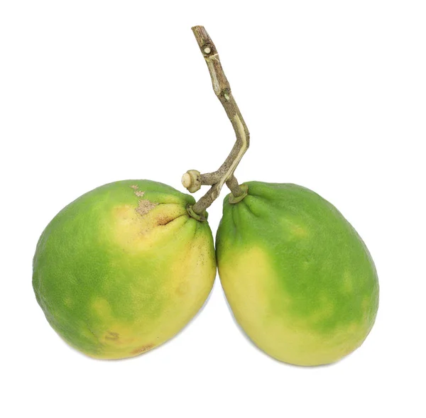 Två Gröna Citron Isolerad Vit Bakgrund — Stockfoto
