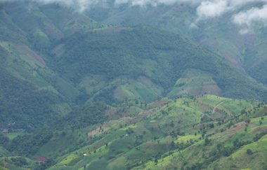 Tayland 'ın kuzeyinde, Nan eyaletindeki karmaşık tepenin üzerindeki yeşil ormanlar arasında pirinç tarlası ve tarlaların manzarası.