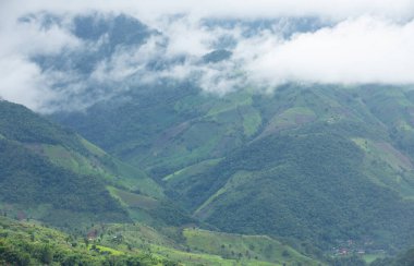 Tayland 'ın kuzeyinde, Nan eyaletindeki karmaşık tepenin üzerindeki yeşil ormanlar arasında pirinç tarlası ve tarlaların manzarası.