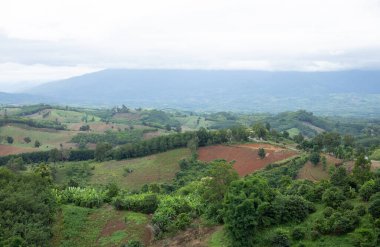 Tayland 'ın kuzeyindeki Nan vilayetindeki karmaşık tepenin hava manzarası ve yeşil ağaçlar..
