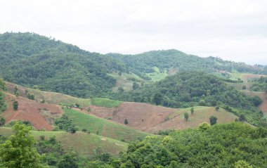 Tayland 'ın kuzeyindeki Nan vilayetindeki karmaşık tepenin hava manzarası ve yeşil ağaçlar..